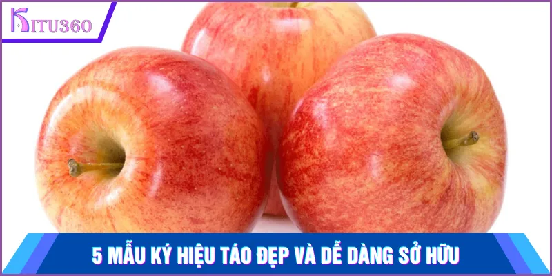 5 Mau Ky Hieu Tao Dep Va De Dang So Huu