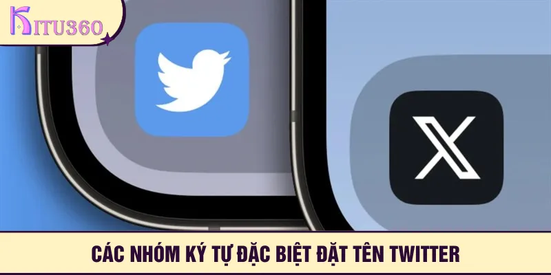 Tổng hợp nhóm các mẫu hot nhất cho tên X đặc biệt