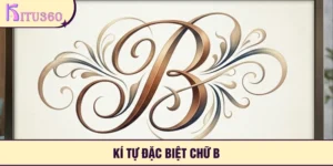 Ki Tu Dac Biet Chu B